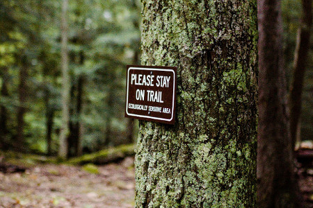 Solo Hiking: Tips for a Safe and Enjoyable Experience